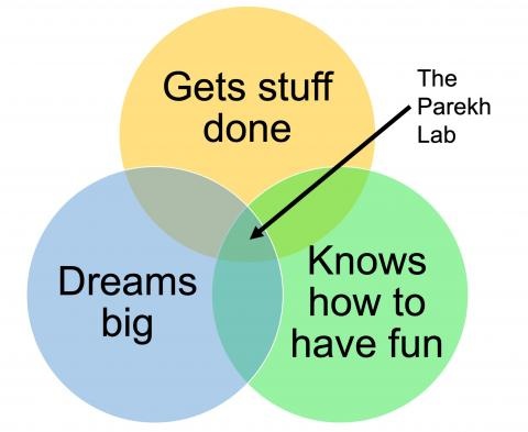 Lab Culture